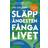 Släpp Ångesten, Fånga Livet Övervinn Oro Och Ängslan Med Metakognitiv Terapi (Häftad, 2025)