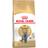 Royal Canin British Shorthair Adult 2kg