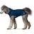 Hunter Blue Pet Travel Dress 40 cm