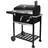 Royal Gourmet Holzkohlegrill Barbecue Grillwagen Campinggrill Holzkohle
