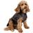 Dryrobe Small Dog Coat Jacket