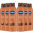 Vaseline Intensive Care Cocoa Radiant Spray 190ml 6-pack