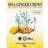 Sina Ginger Candy Mango 56g 1pack