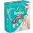 Pampers Baby Dry Size 4 9-15kg 23pcs