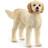 Schleich Goldendoodle 13939