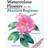 Watercolour Flowers for the Absolute Beginner (Paperback, 2023)
