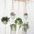 Shein 2pcs Woven Plant Hanger, Beige Hanging Plant Basket For Home Decor