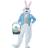 California Costumes Deluxe Easter Bunny Costume Plus Size