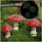 Mrisat Mini Mushrooms Ornaments