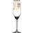 Carolina Gynning Gold Edition Slice Of Life Champagne Glass 30cl