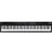 Roland RD-08 Stage Piano Digital Piano
