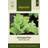 Impecta Sallat, Isbergs-, Great Lakes 118