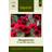 Impecta Petunia, Häng-, Easy Wave Red F1