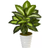 Nearly Natural Dieffenbachia Green Artificial Plant