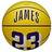 Wilson NBA Player Icon LeBron James Ball WZ4027701XB