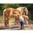 5D Diamond Paintings Horses Full Drill Diamond Embroidery Wall Decor