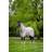 LeMieux Arika Armour-Tek Fly Rug Stone/Fern 6ft3