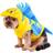 Rubies The Little Mermaid Flounder Pet Costume