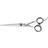 DMI Barber Scissors 6"