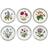 Portmeirion Botanic Garden Dessert Plate 21.5cm 6pcs