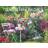 Heye 2024 Gartenparadies Wandkalender 44x34cm