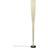 Foscarini Mite Anniversario Black Floor Lamp 185cm