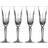 Marquis by Waterford Maxwell Champagne Glass 17.7cl 4pcs