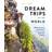 Lonely Planet Dream Trips Of The World (Häftad)