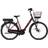 Batavus Altura E-Go Plus Mahogany Red Brown