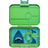 Yumbox Tapas Matlåda 4 Rum Jurassic Green Shark