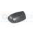 Van Wezel outer mirror cover 1620844