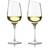 Eva Solo Riesling Hvidvinsglas 30cl 2stk