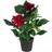 Leaf Dhalia Red Artificial Plant