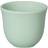 Loveramics Embossed Tasting Celado Green Espressotasse 8cl