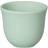 Loveramics Embossed Tasting Celado Green Tasse à espresso 8cl