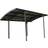 Canopia by Palram Carport Canopia Arizona Breeze Special (Byggnadsarea )