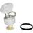 Delphi Fuel pump FG0978-12B1