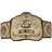 WWE Authentic Tag Team Champions Replica Title Belt