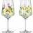 Ritzenhoff Summer Dew Limoncello Aperitif Avec Glass 54.4cl 2pcs