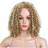 Lace Front Wigs European & American Wigs P27/613
