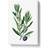 East Urban Home Olive Tree Flowers Illustration White/Green Wall Decor 35.6x50.8cm