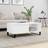 vidaXL 830572 White Coffee Table 50x90cm