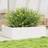 vidaXL Plantekasse 90 x 60 x 23 cm Massivt Fyrretræ Hvid Plantekasse