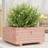 vidaXL Garden Planter Solid Wood Douglas Brown