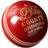 Dukes County International Cricket Ball