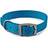 Ancol Viva Buckle Dog Collar 3 28-36cm