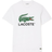 Lacoste Signature Print T-shirt - White