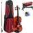 Theodore Theodore Student Violin Setup Beginners 4/4 Size Spruce Top