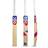 DSC Intense Kashmir Willow Cricket Bat