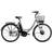 Ecoride Elcykel Ambassador AXS H-7 - Silver 28 Damcykel